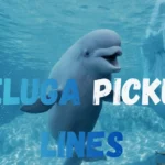 Beluga Pickup Lines