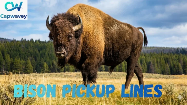 Bison Pickup Lines