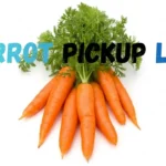 Carrot Pickup Lines