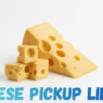 Cheese Pickup Lines