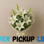 Flower Pickup Lines