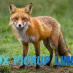 Fox Pickup Lines