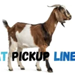 Goat Pickup Lines