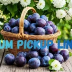 Plum Pickup Lines