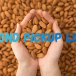 Almond Pickup Lines