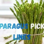 Asparagus Pickup Lines