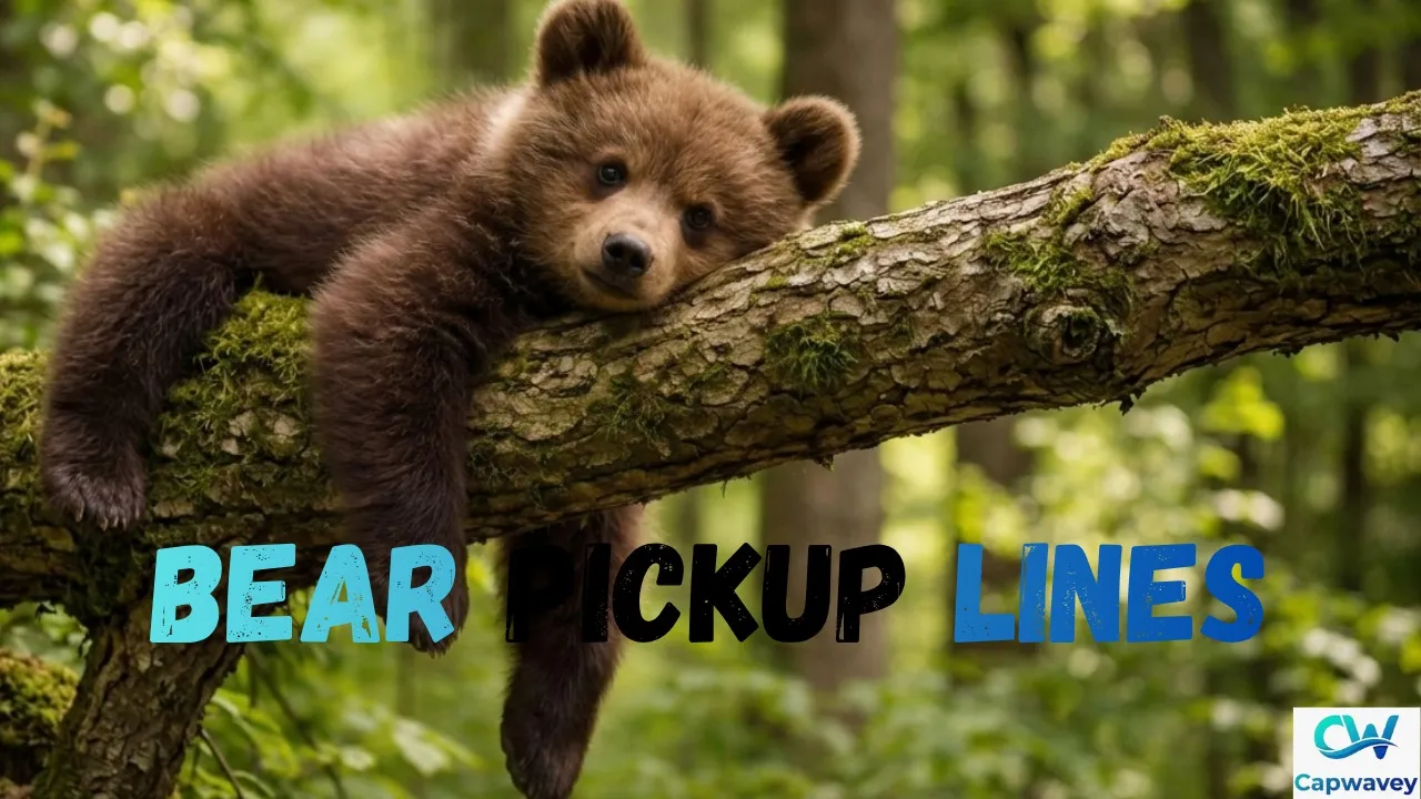 Bear Pickup Lines