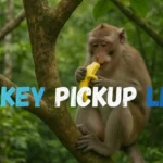 Monkey Pickup Lines