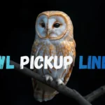 Owl Pickup Lines