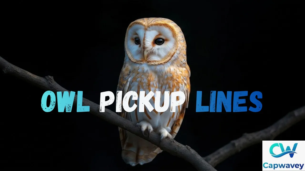 Owl Pickup Lines