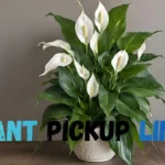 Plant Pickup Lines