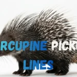 Porcupine Pickup Lines