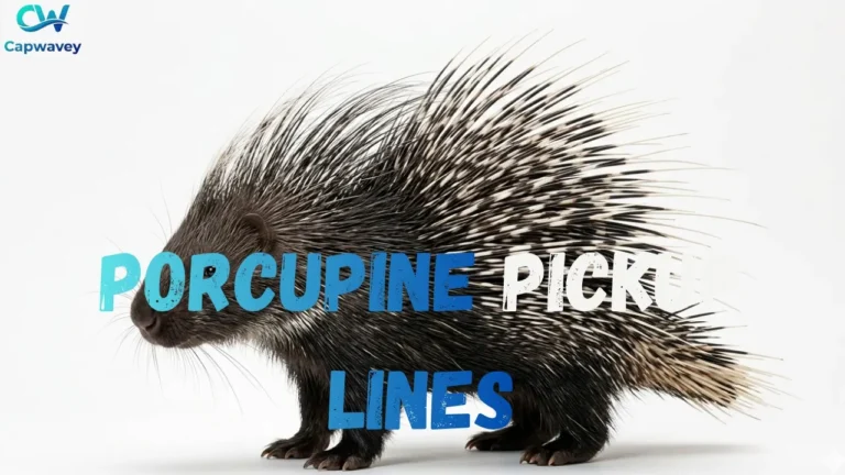 Porcupine Pickup Lines