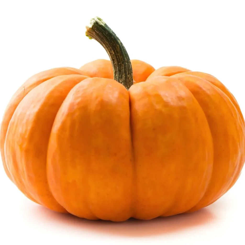 Pumpkin Pickup Lines
