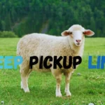 Sheep Pickup Lines