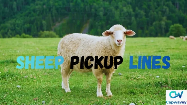 Sheep Pickup Lines