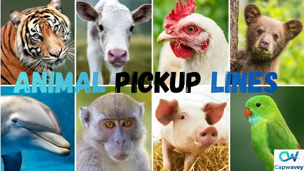 Animal Pickup Lines