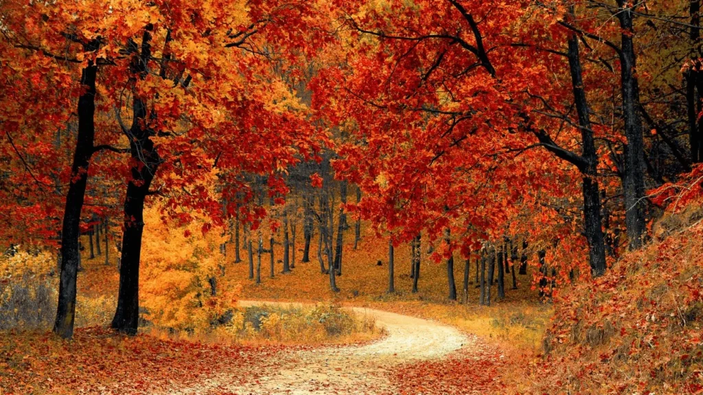 Autumn Pickup Lines