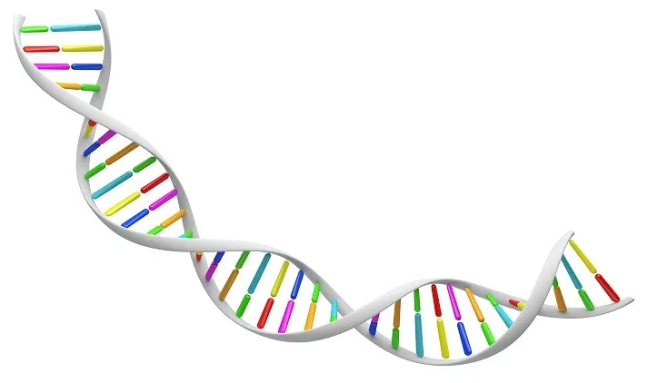 DNA Pickup Lines