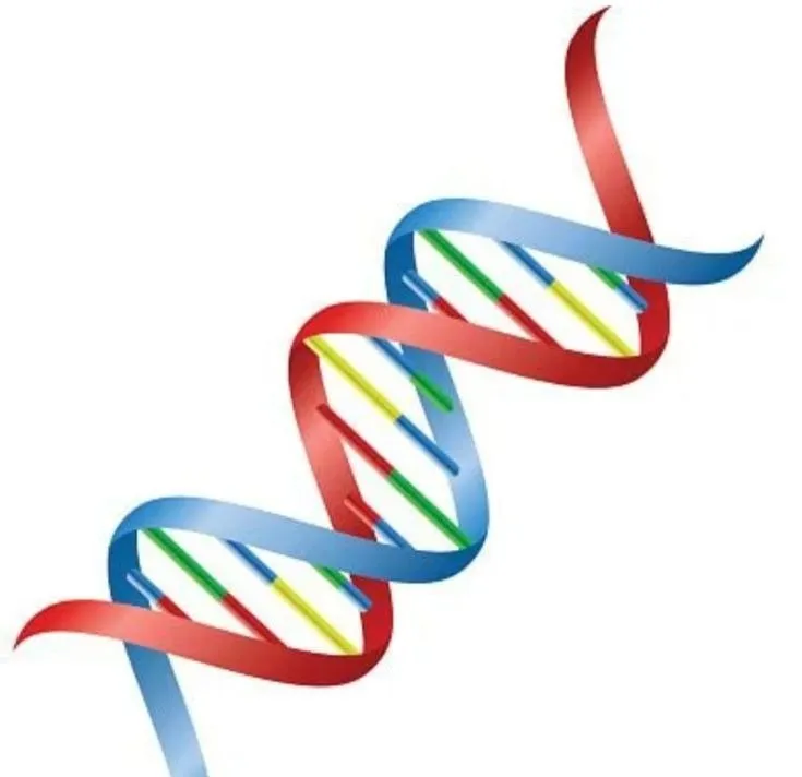 DNA Pickup Lines
