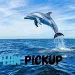 Dolphin Pickup Lines