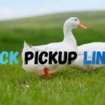 Duck Pickup Lines