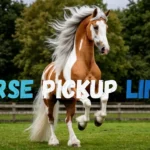 Horse Pickup Lines