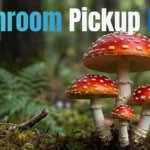 Mushroom Pickup Lines