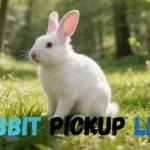 Rabbit Pickup Lines