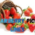 Strawberry Pickup Lines