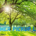 Summer Pickup Lines